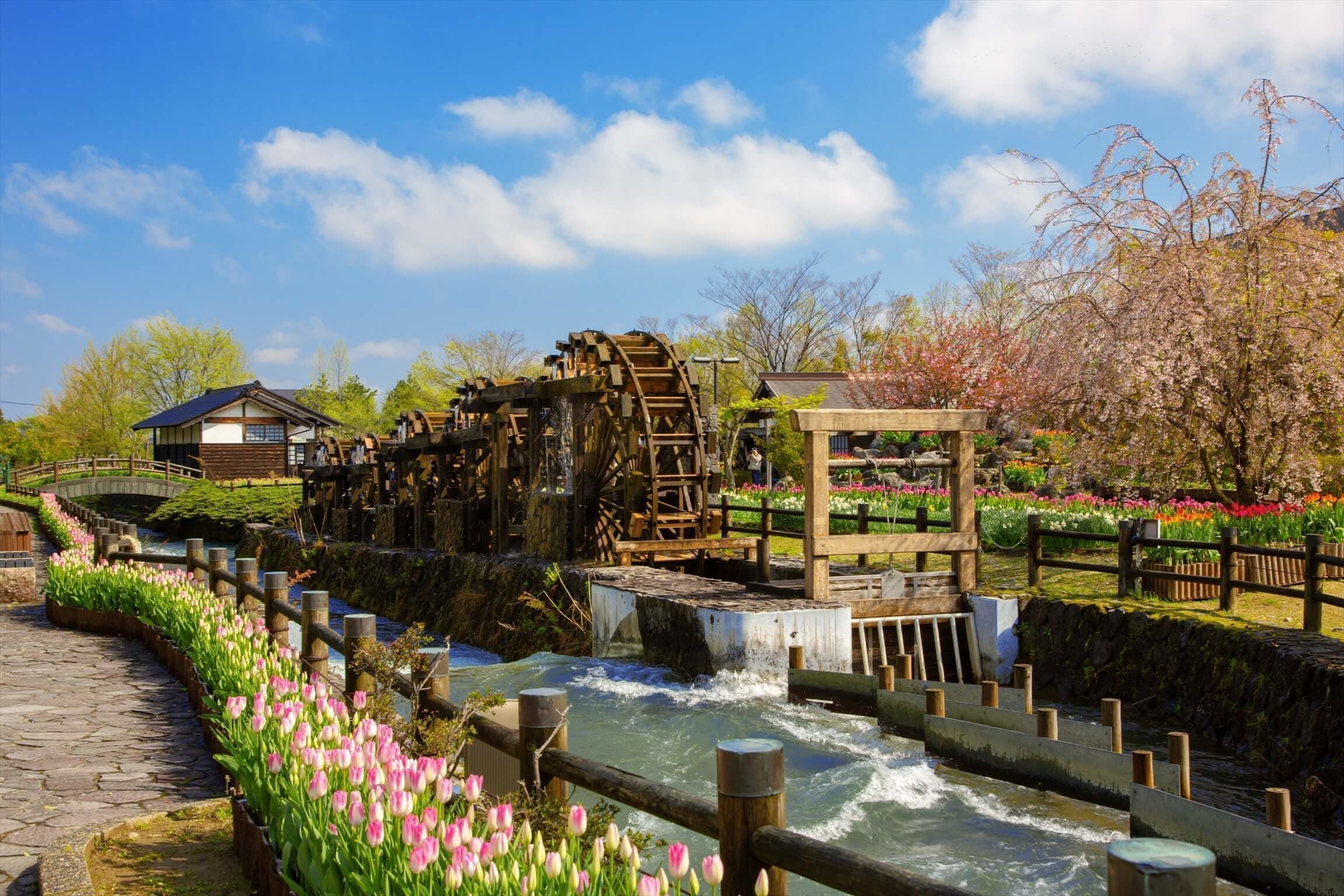 adobestock_264663098_r.jpg